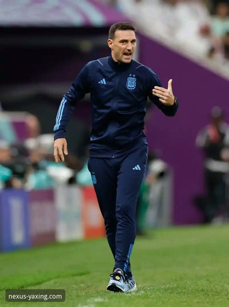 资深用户分享：在亚星娱乐平台深度解析阿根廷新星伤退的战术影响与启示